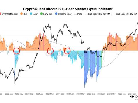 Bitcoin At Pivotal Point As Bear Market Beckons Onchain Data