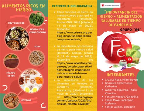 Tríptico ALIMENTOS RICOS EN HIERRO IMPORTANCIA DEL HIERRO