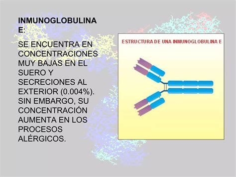 18 Generalidades De Las Inmunoglobulinas Ppt