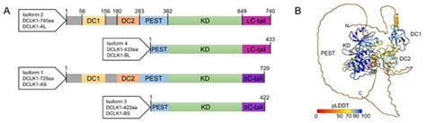 Biomedicines Free Full Text Structure Guided Prediction Of The