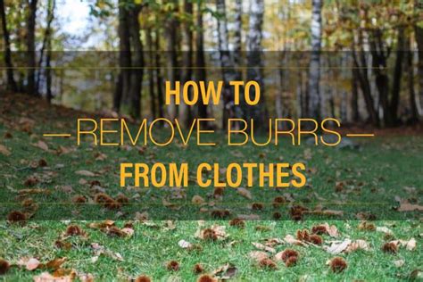 How To Remove Burrs From Clothes How To Remove Go Hiking Hiking Trip