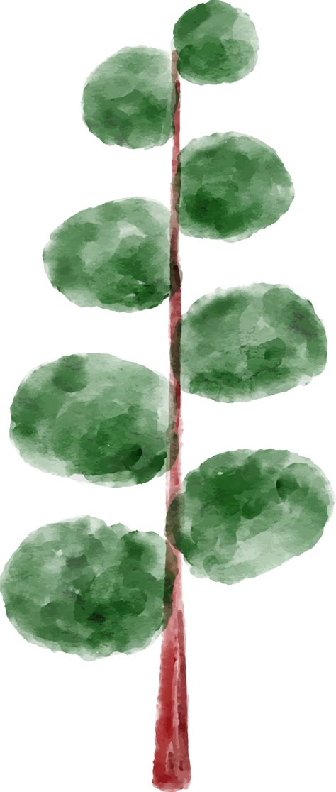 Spruce Tree Watercolor 12496487 Png