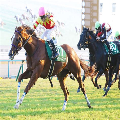 【京阪杯】トウシンマカオ連覇 菅原明良騎手「馬を信じて競馬した」 2023年11月26日掲載 ライブドアニュース