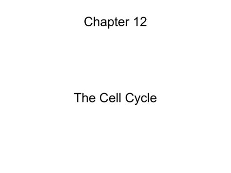 Chapter 12 The Cell Cycle