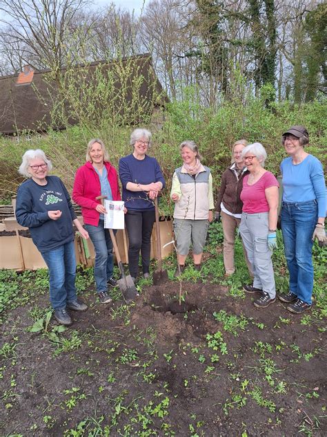 Doras Garten Mühlenfreunde freuen sich über neuen Pfirsichbaum Seevetal