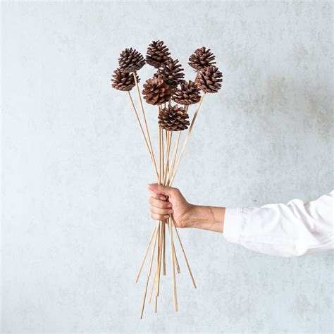 Pine Cone Sticks Set Of 10 Pcs Flowers And Fillers