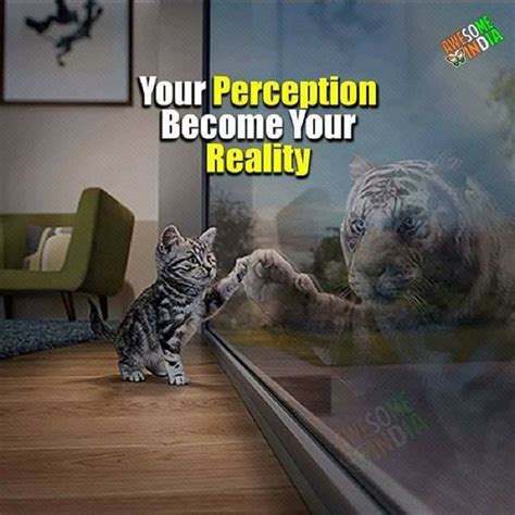 Your Perception Is Your Reality