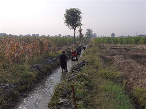 Johorejo Kerja Bhakti Pembersihan Saluran Air Blok Sasem Desa Johorejo