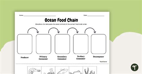 Ocean Food Chain - Cut and Paste Worksheet | Teach Starter