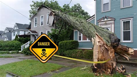 The Terrifying Consequences Of Trees Falling On Homes Tree Falling On