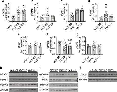 Effect of glycaemic variability on SILAC-outcome selected protein... | Download Scientific Diagram