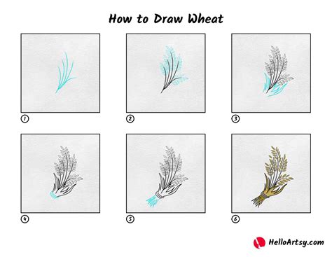 How to Draw Wheat - HelloArtsy