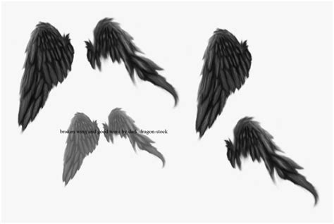 Broken Angel Wings Png, Transparent Png - kindpng