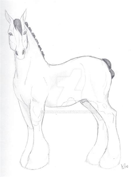 Clydesdale sketch by Midnafan13 on DeviantArt