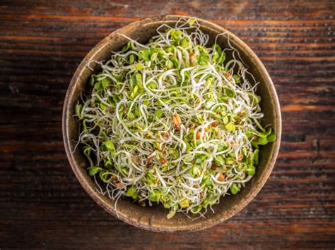 Top Health Benefits Of Eating Sprouts For Better Nutrition