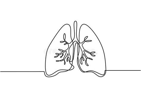 Arte De L Nea Continua Nica De Pulmones Pulmones Rganos Humanos De