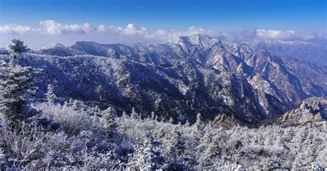 Top 12 Things To Do In Jeju Island During Winter Trazy Blog