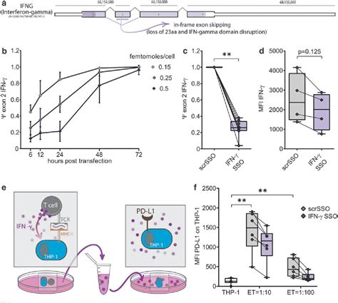 Figure 2 From Splice Switching Antisense Oligonucleotides As A Targeted