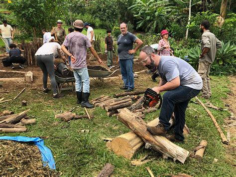 Curso Imersivo De Agrofloresta Universo Da Floresta