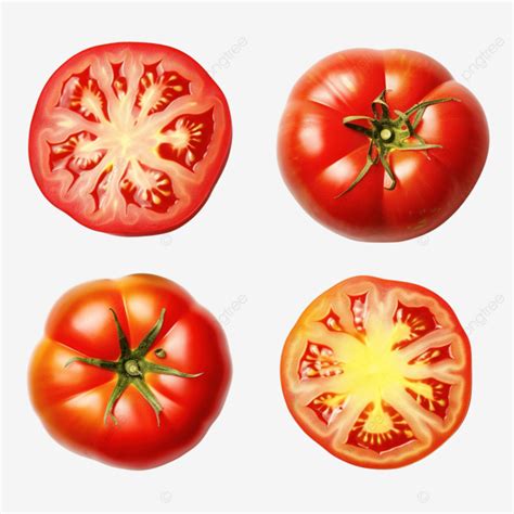 Conjunto De Quatro Variedades De Tomate Generativo Ai Png Tomates