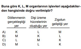 7 Sınıf Fen Bilimleri İnsanda Üreme Büyüme ve Gelişme Testi Çöz