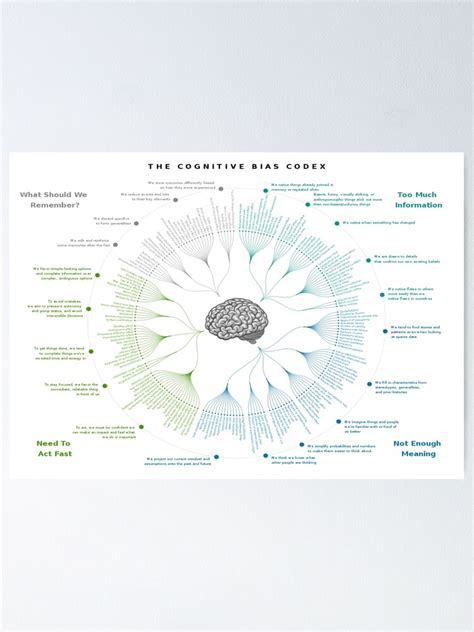 Infografik Der Cognitive Bias Codex Leitfaden Zu Kognitiven