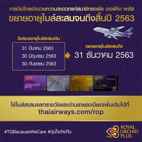 การบินไทยต่ออายุไมล์สะสมรอยัล ออร์คิด พลัส ถึงสิ้นปี 2563 พารวย