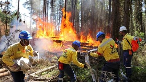 Meet The International Firefighters Battling Canada S Worst Wildfire