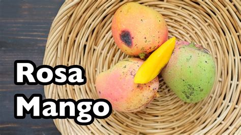 Truly Tropical Mango Varieties Rosa Youtube