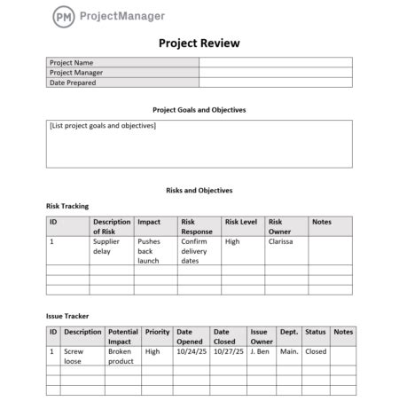 Project Review Template for Word (Free Download)