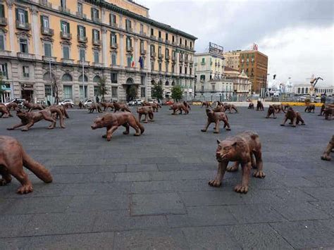 Napoli In Piazza Municipio Arrivano I Lupi Di Liu Ruowang Bonculture