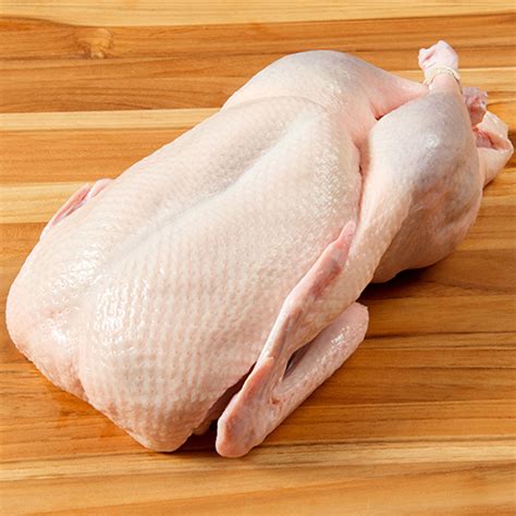 Buy Fresh Frozen Duck Meat Global Poultry Co Ltd