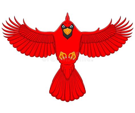 Flying Cardinal Drawing - Cardinal Bird Flying Hd Stock Images ...