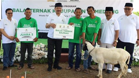 Tingkatkan Kesejahteraan Mustahik BAZNAS RI Luncurkan Balai Ternak Di