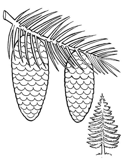 Best Ideas For Coloring Pine Cone Coloring Page