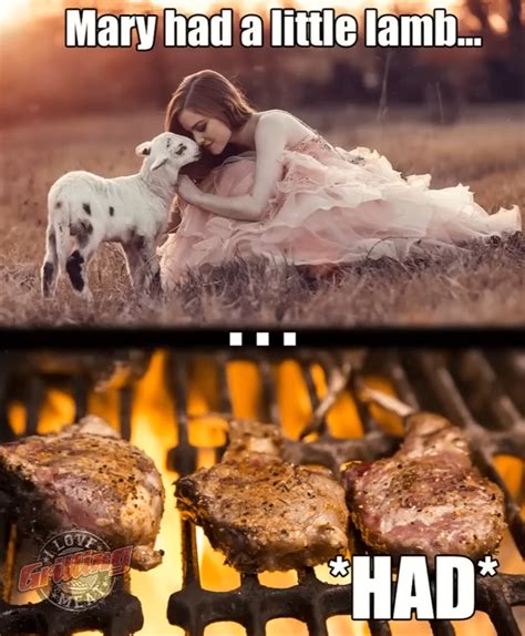 Funny Bbq Meme