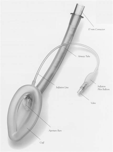 References in Laryngeal Mask Airway: Review of Indications and Use ...