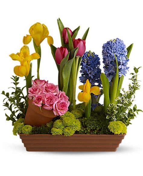 Symbolic Meaning of Traditional Funeral Flowers | Lifestory Occasions