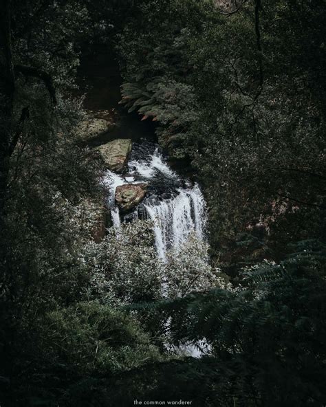 A guide to the Stunning Hopetoun Falls in the Otways, Victoria | The ...