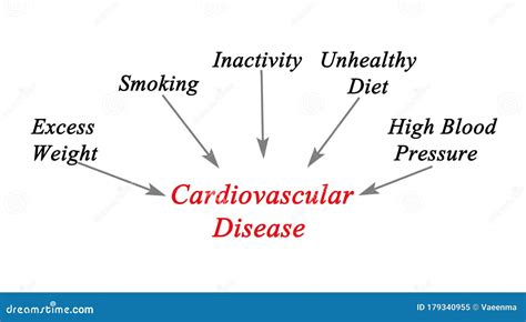 Cardiovascular Disease Test Health Check Up Checklist Heart