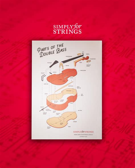 Parts Of The Double Bass Poster A2 Size Simply For Strings