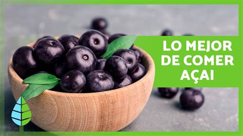 6 Increíbles Beneficios Del AÇai 🫐 ¿por Qué Deberías Comer AÇai Youtube