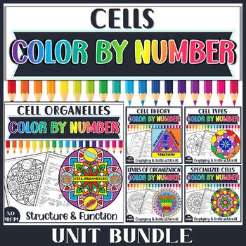 Cells And Cell Organelles Color By Number Unit Bundle By Savvy Biology