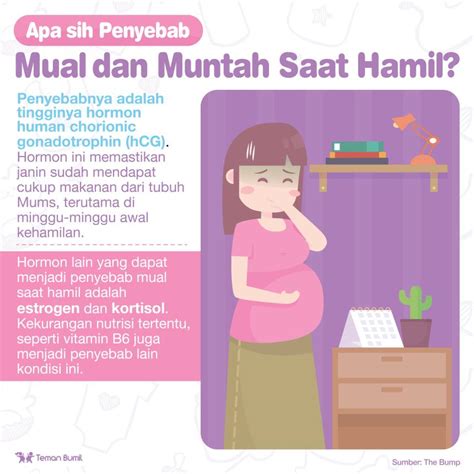 Dampak Sering Muntah pada Ibu Hamil - GueSehat.com