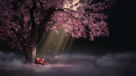 Cherry Blossom Wallpaper Engine - Trending HQ Wallpapers