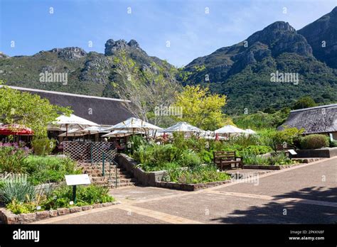 Restaurant at Kirstenbosch Botanical Garden, Cape Town, Western Cape ...