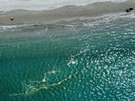 Mare Sporco In Calabria Le Riprese Con Il Drone Del Classico Film Gi