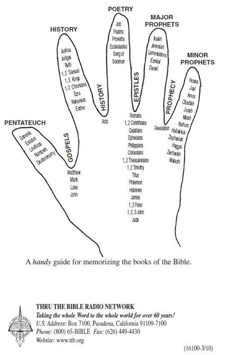 Divisions Of The Bible Worksheet