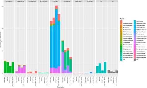 Relative Abundance At The Level Of Phylum And Corresponding Families