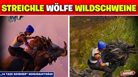 Streichle Zahme W Lfe Oder Wildschweine In Verschiedenen Matches